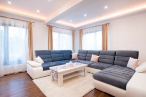 Pet Safe House Cleaning